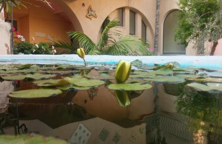 Antica Corte delle Ninfee, Historical Private Villa - Photo 28