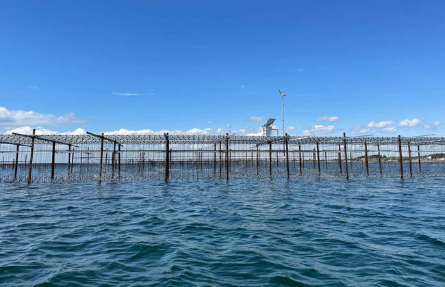 Excursión al Étang de Thau con degustación de ostras y paseo en barco - Foto 7