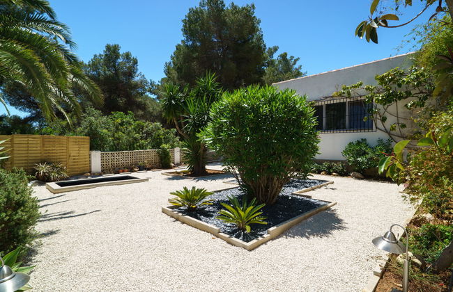 El Palmeral - Foto 41