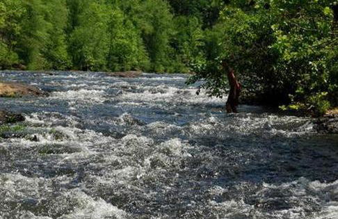 Tranquil Vacation Rental Nestled in the Shenandoah Mountains of Howardsville, Virginia - Foto 16