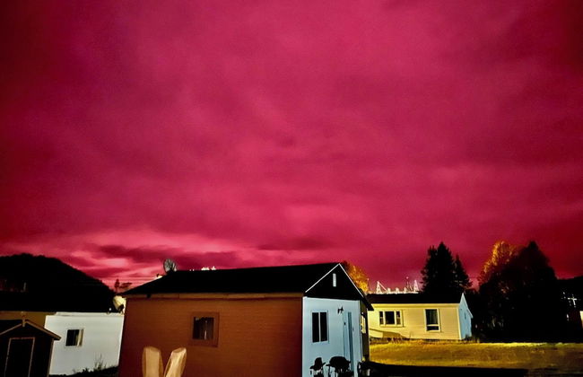 Bonne Bay Cottages - Photo 63