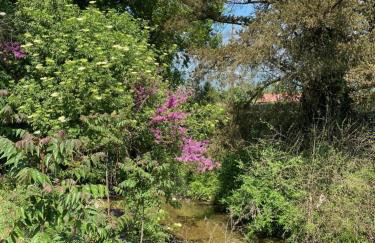 KARMA House by the River - Foto 34