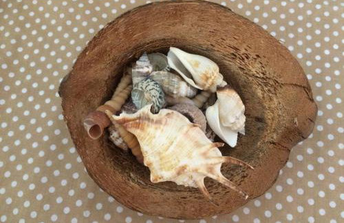 Sunny Studios - Foto 24