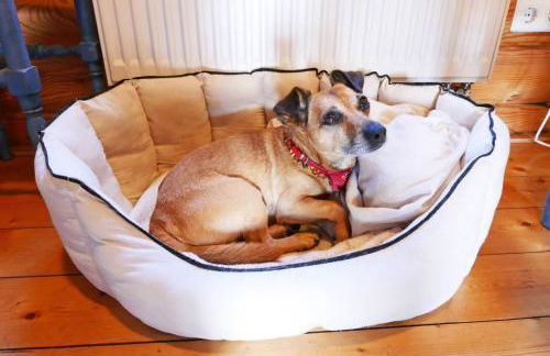 Mein Blockhaus - Foto 9