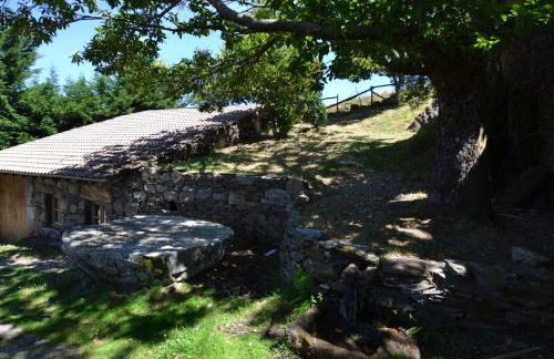 Casas de Xisto, Branda da Aveleira - Foto 33