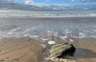 Atlantic Lodge - Foto 18