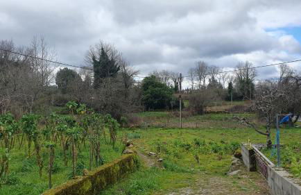 Retiro da perreira com churrasqueira - Foto 39