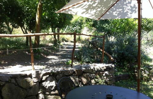 Gli Ulivi Agriturismo - Foto 8