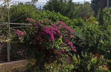 Kostas Volissos-residence - Foto 33