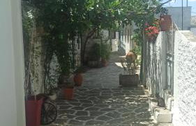 Michael's apartment Filoti - Foto 12