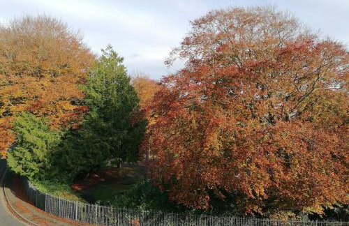 Large 2 bedroom town centre flat with free parking - Foto 38