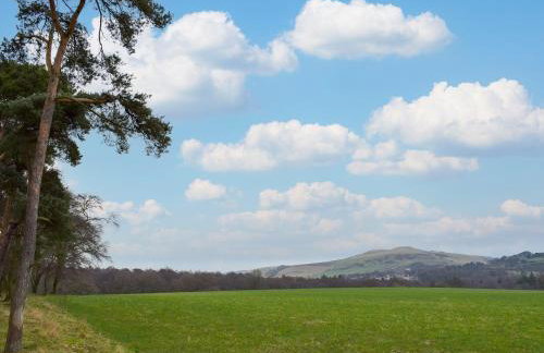 Pinewood Cabin - Foto 21