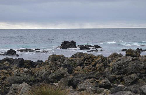 Casa Cruzeiro AL - by the sea OCEANTUR - Photo 18