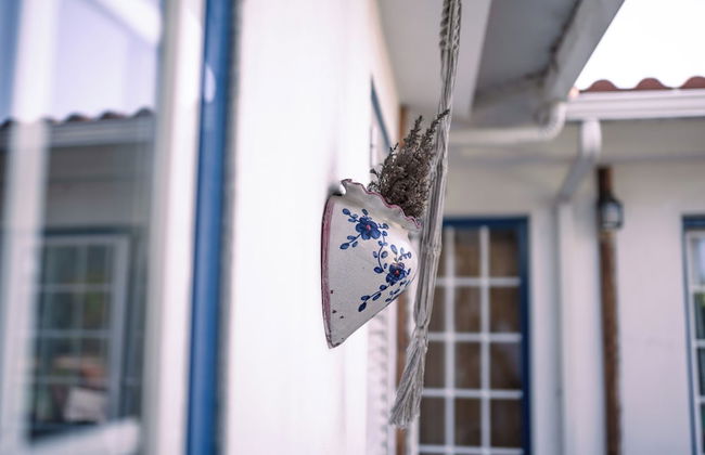 João Jungle - Foto 70