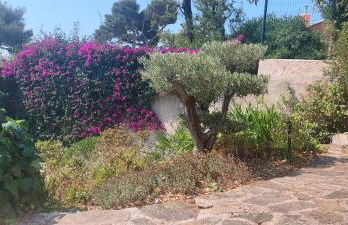 Villa du Bau Rouge - Foto 3