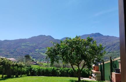 Casa Rural en Cezosu, Nava - Foto 36