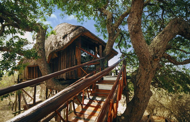 Pezulu Tree House Lodge - Foto 31