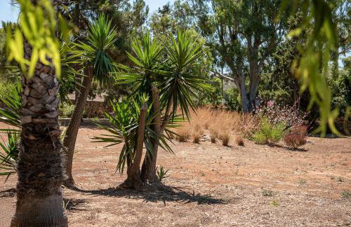 Myrtia Beach House - Foto 44