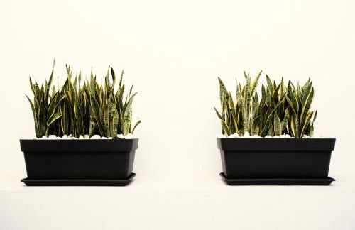 Villa Allure - Foto 24