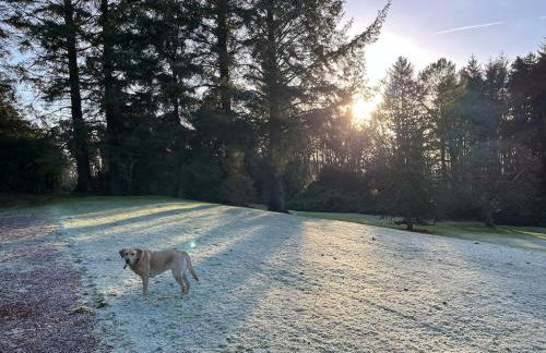 Lovely Carlung House - Foto 68