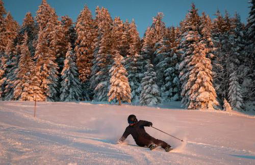 Ferienwohnungen Hirschen - Foto 54