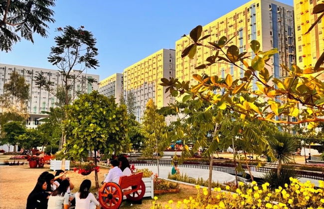 Pandora's Nest - Foto 71