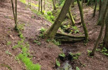 Sosnowy Strumyk - Foto 29