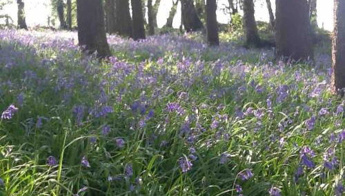 Ysgubor y Tanybryn The barn with a view and a spa. - Foto 2