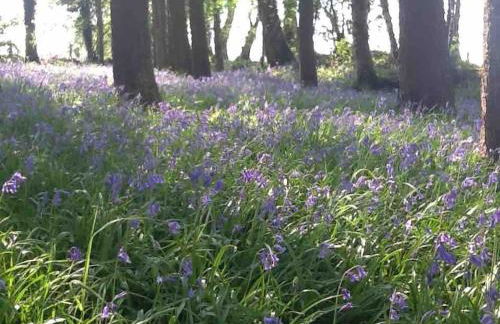 Ysgubor y Tanybryn The barn with a view and a spa. - Photo 2