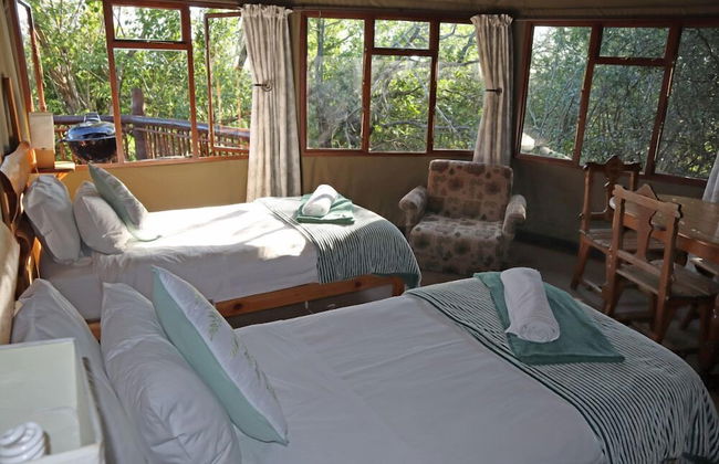 Teniqua Treetops - Foto 22