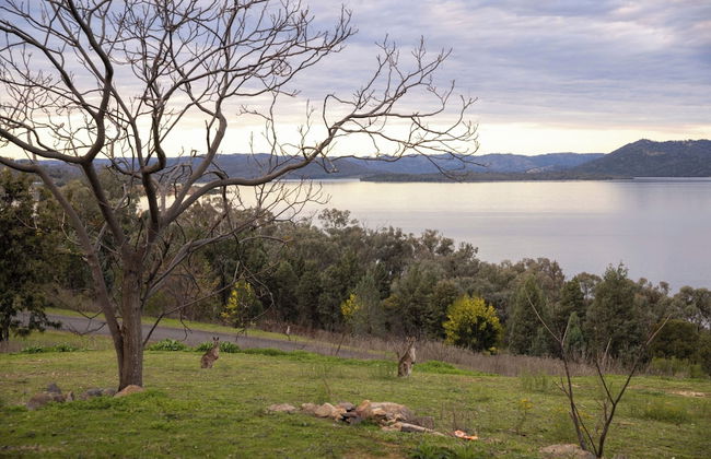 Reflections Lake Burrendong - Holiday Park - Foto 1