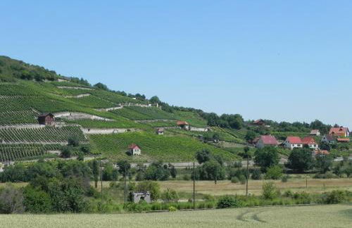 Ferienwohnungen am Unstrutwehr - Foto 20