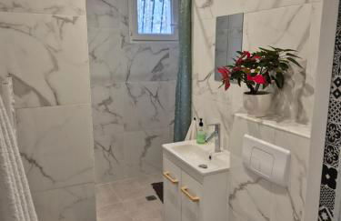 Superbe F2 rénové Terrasse fleurie - Foto 6