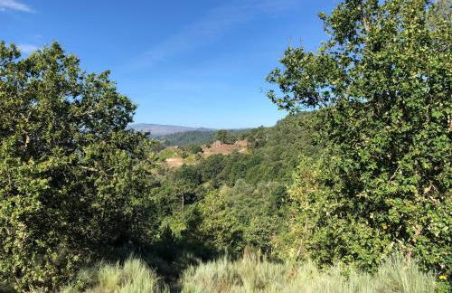 Casa do Porto - Foto 72