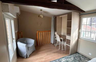 Appartement F1 duplex Hyper centre - Foto 1