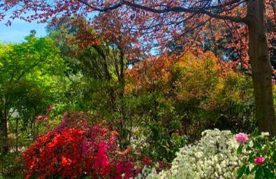 Villa Col di Luna-ProseccoHills - Foto 80