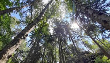 FeWo Bockmühle - Foto 4