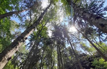 FeWo Bockmühle - Foto 4