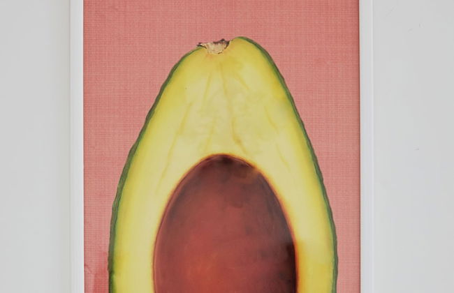 Tenuta Fasanarella - Foto 5