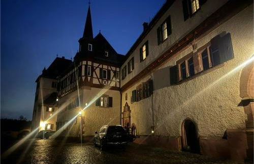 Historische Mühle am Schloss - Foto 15