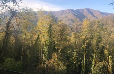 Residence Ai Laghi - Foto 17