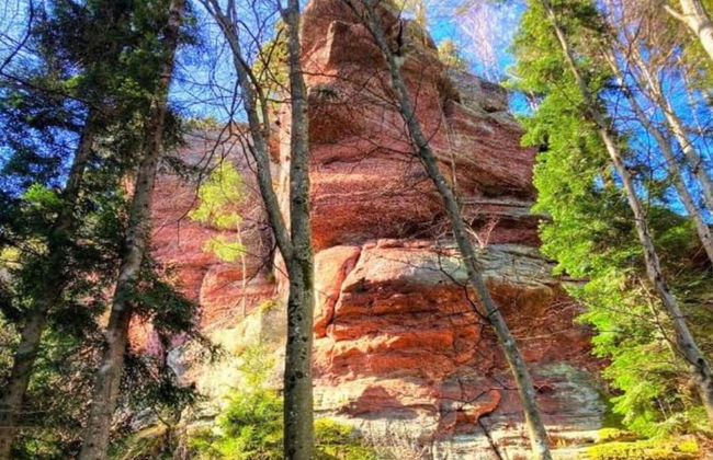 Unusual Hideaway in Lorraine - Photo 29