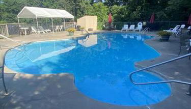 The Swirling Bird - Photo 3