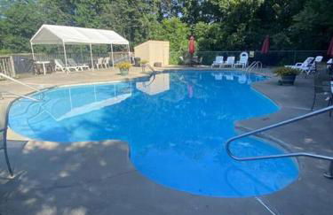 The Swirling Bird - Foto 3