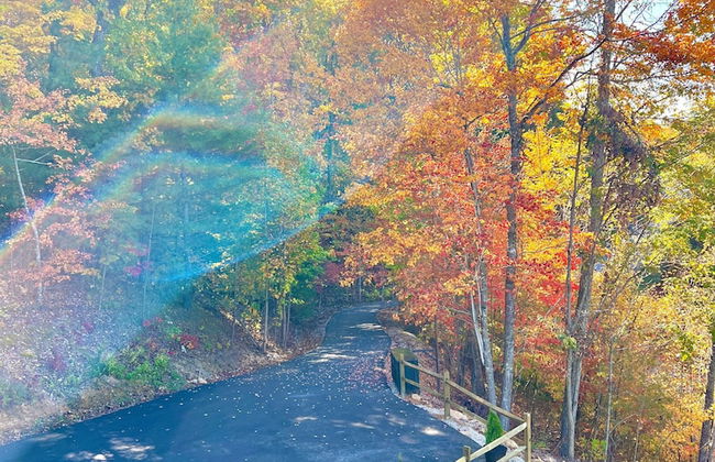 Lazy Bear Lodge - Foto 59