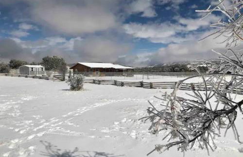 Cottonwood Creek Cabins - Alpine, TX - Foto 29