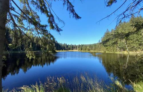 Haus am Park - Foto 10