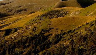 Apartamento Escalona Ordesa - Foto 2