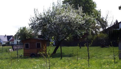 Baumanns Ferienhof Am See - Foto 5