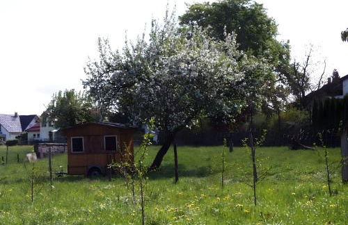 Baumanns Ferienhof Am See - Foto 5